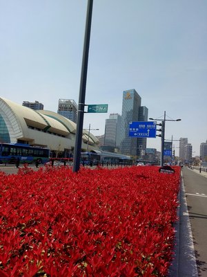 海濱大道與國展中心客運站 連云區的交通樞紐